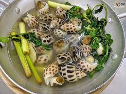 Snails and Sea Food
